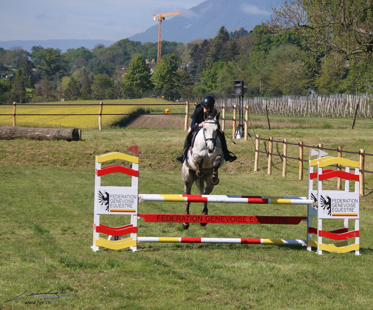 Description de l'image