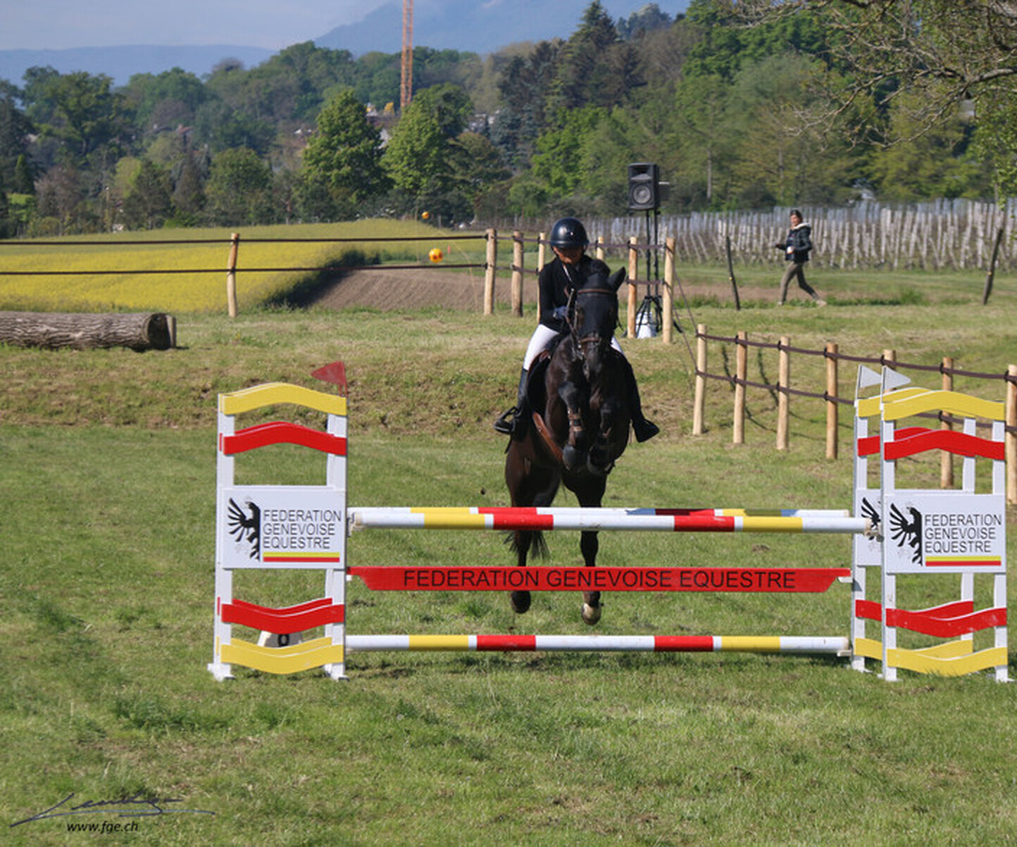 Description de l'image