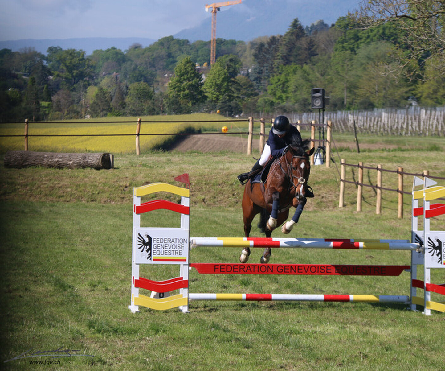 Description de l'image