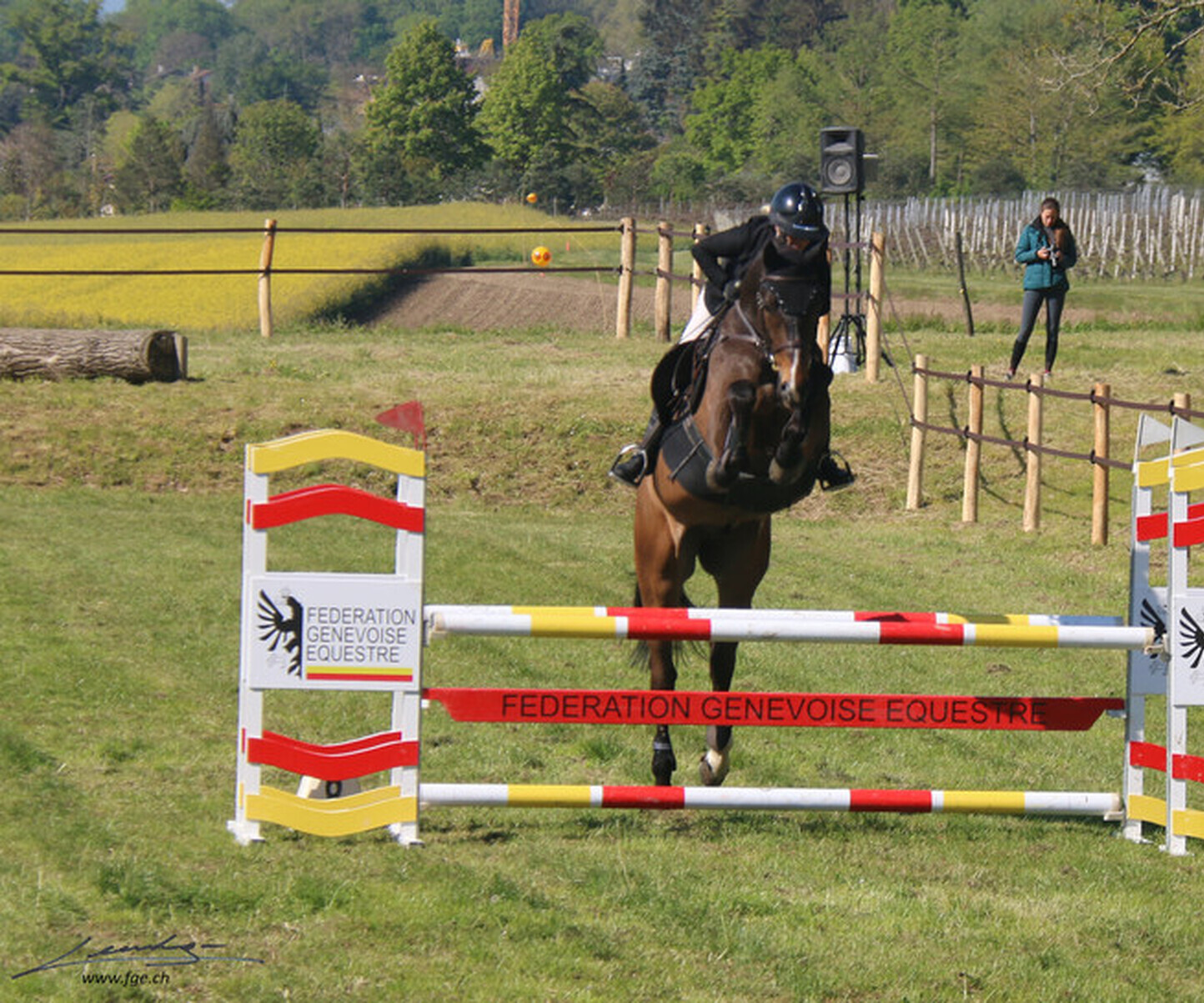 Description de l'image