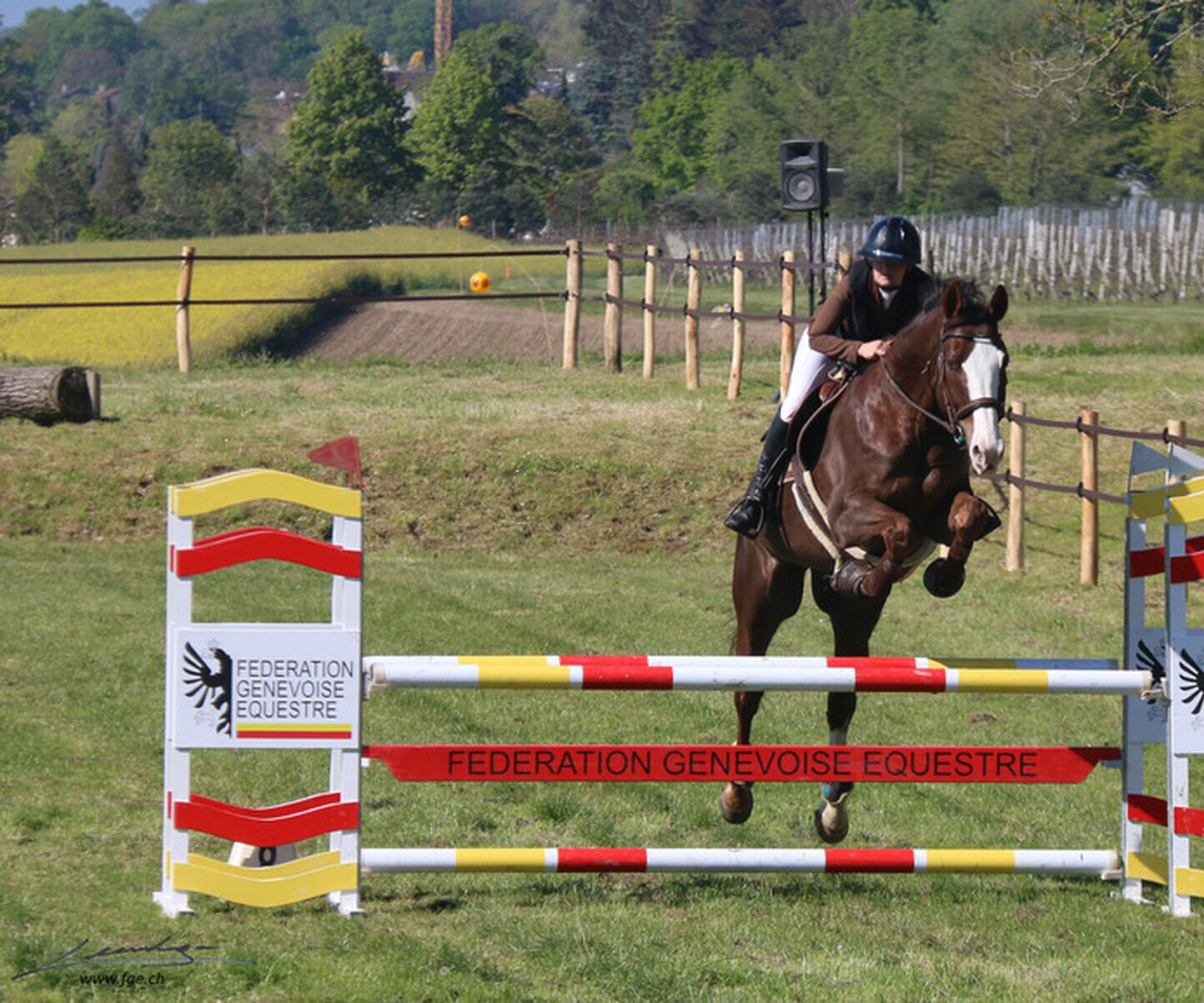 Description de l'image