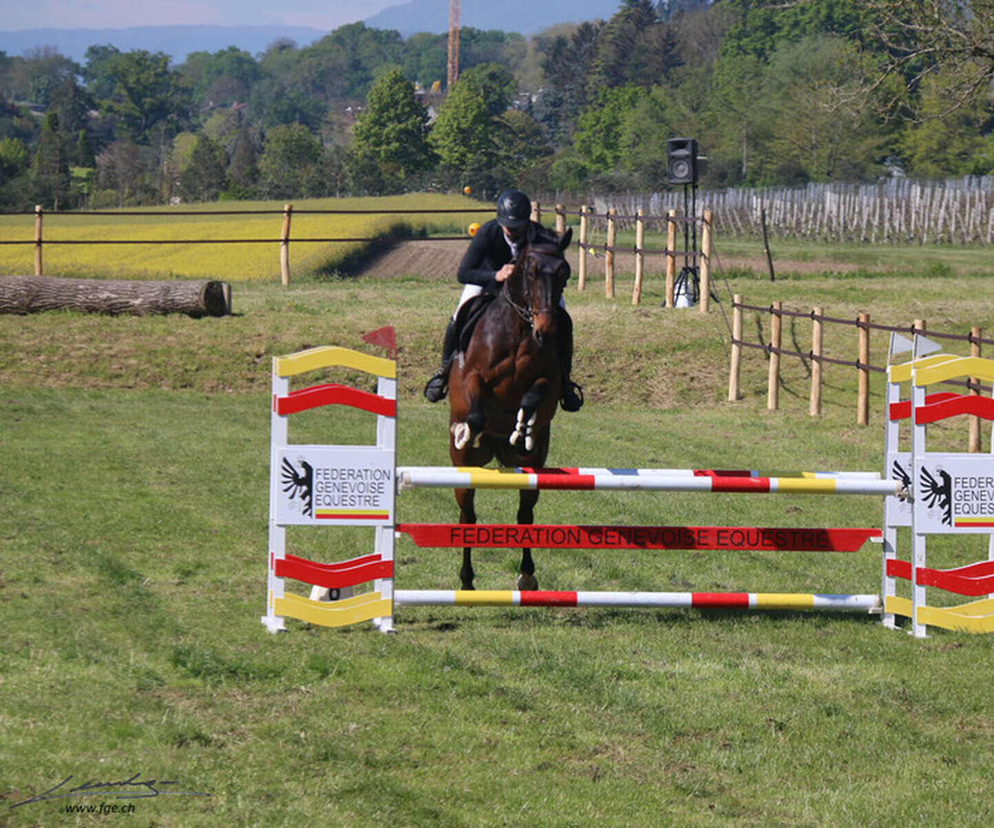 Description de l'image