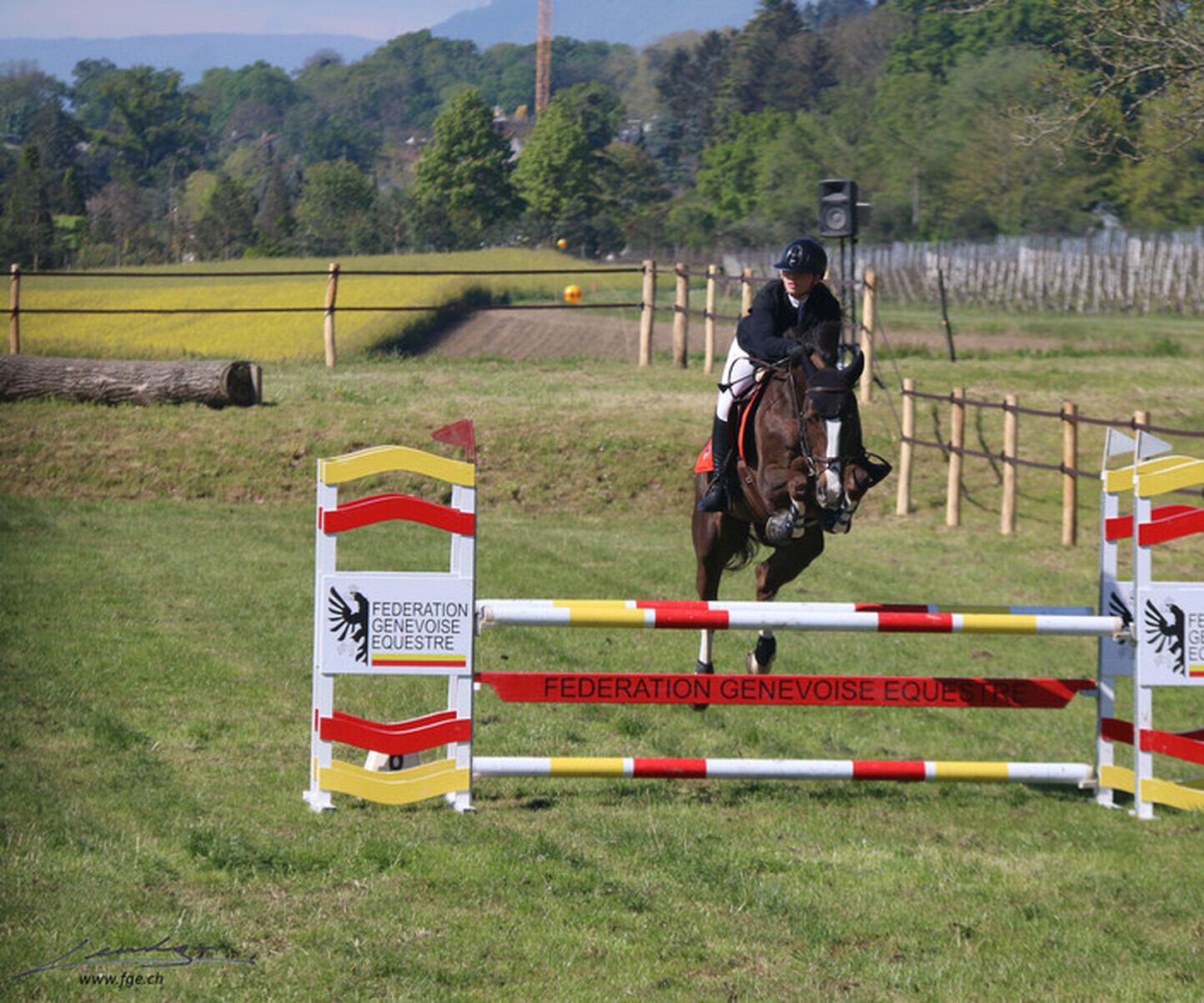 Description de l'image