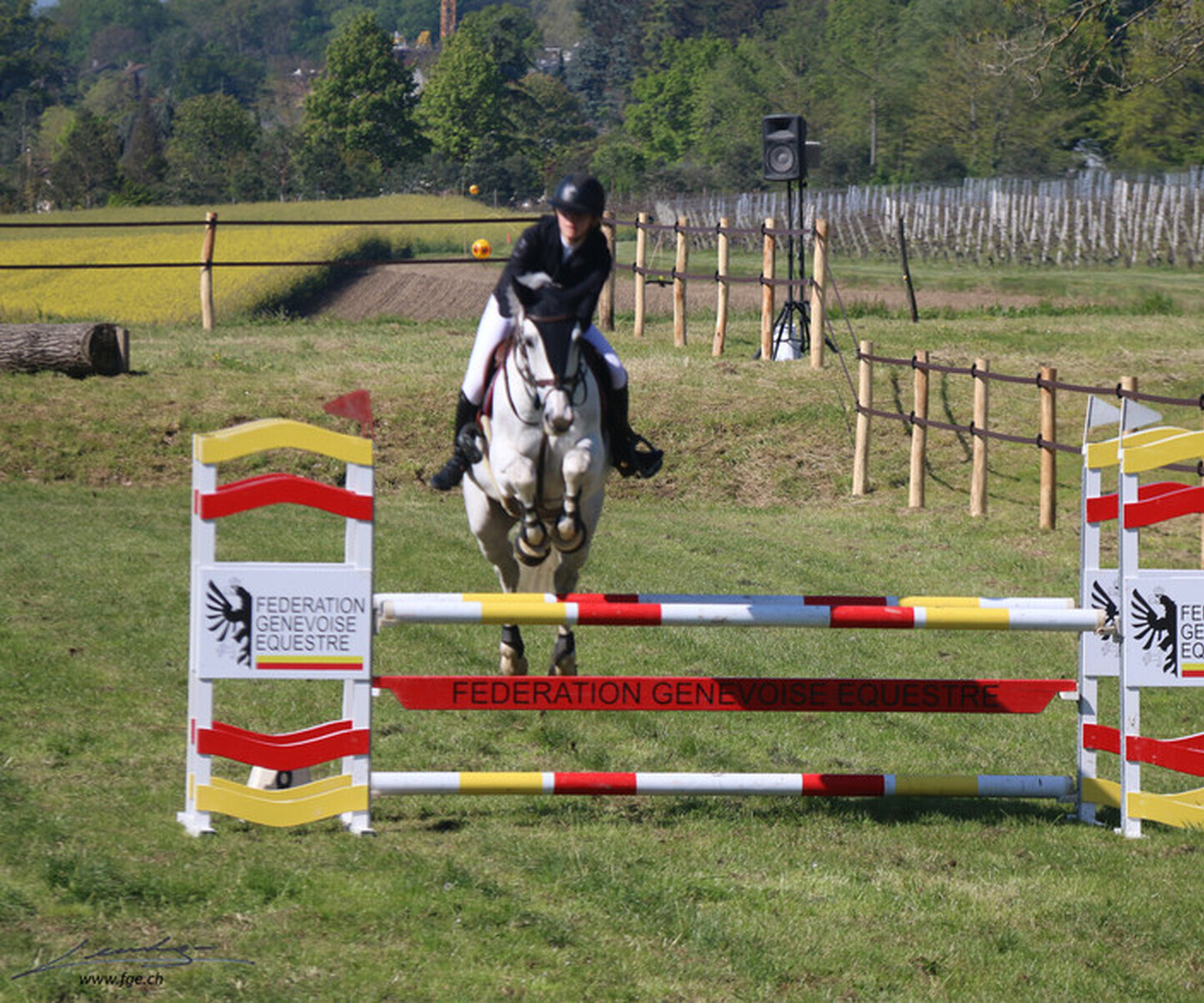 Description de l'image