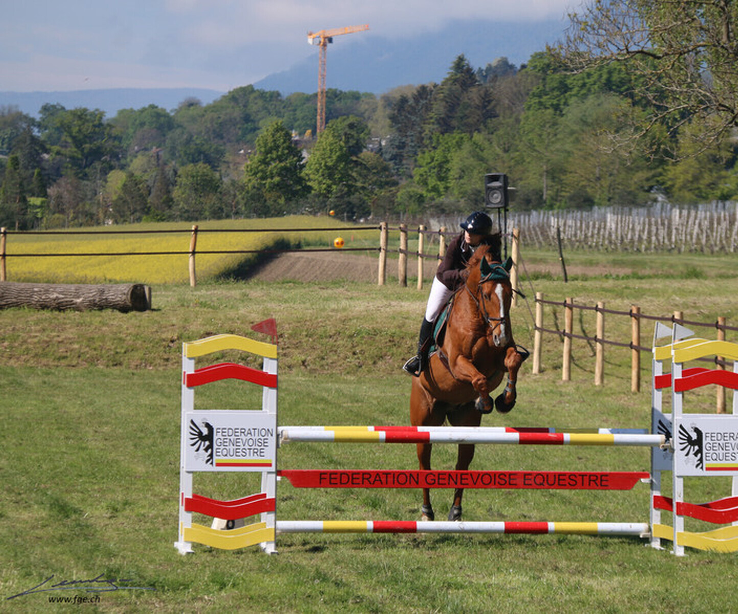 Description de l'image