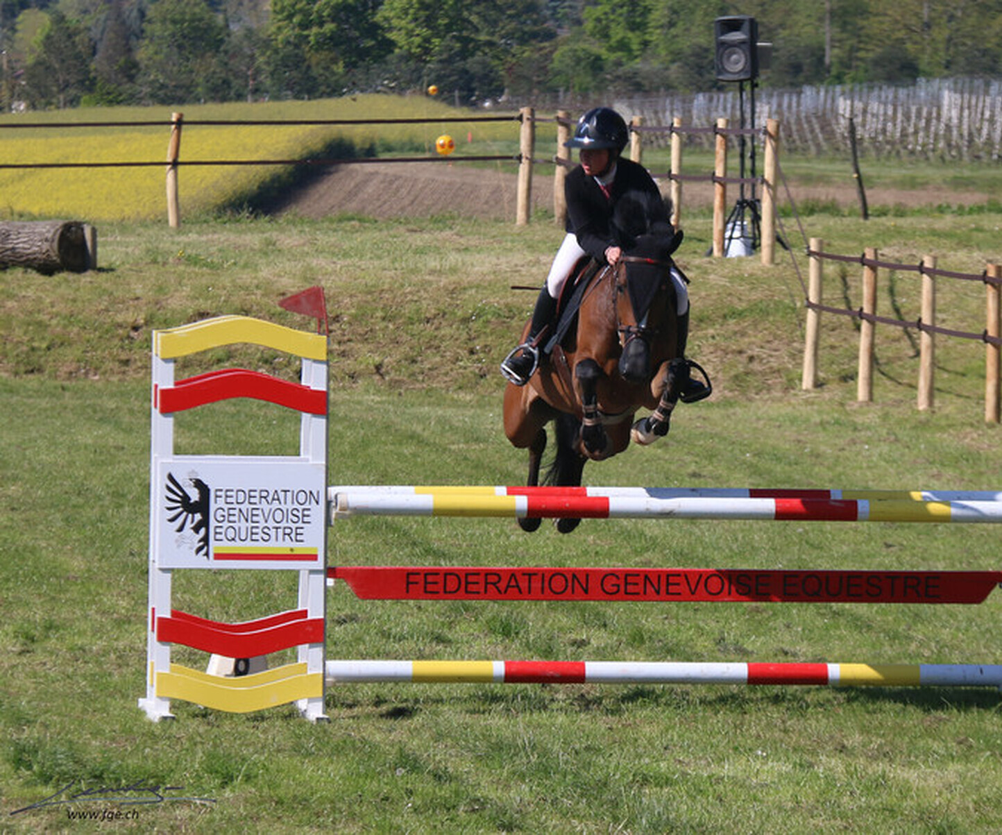 Description de l'image