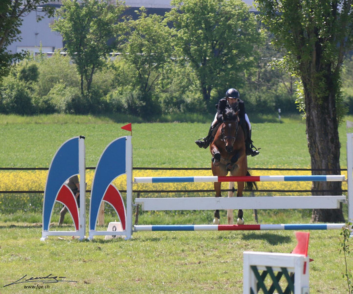 Description de l'image