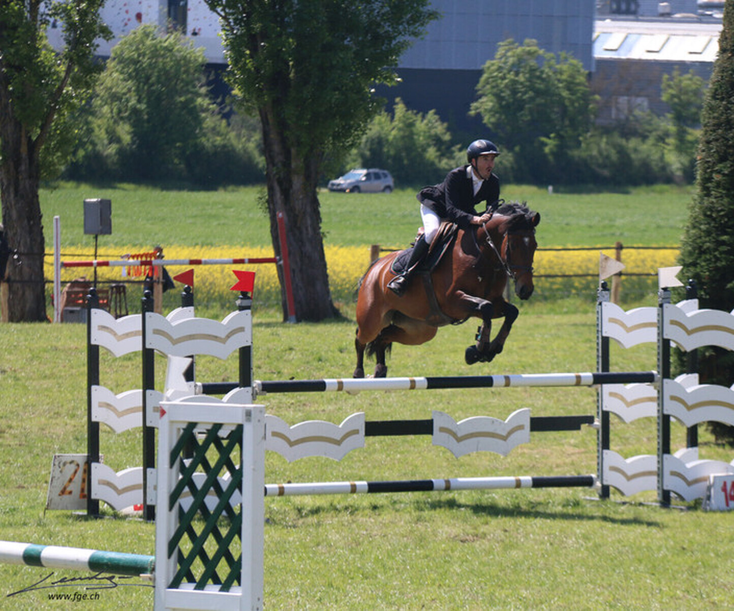 Description de l'image