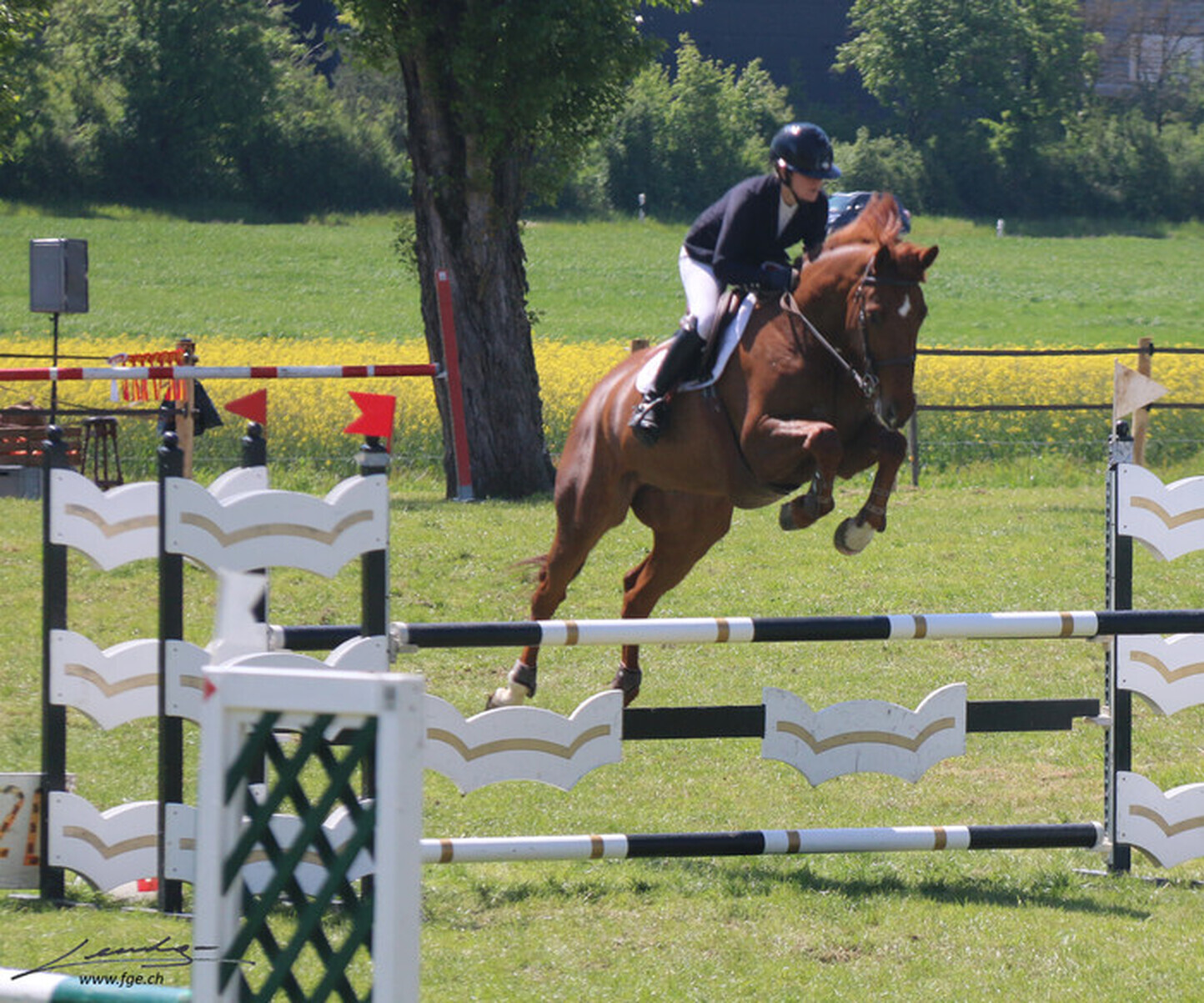 Description de l'image