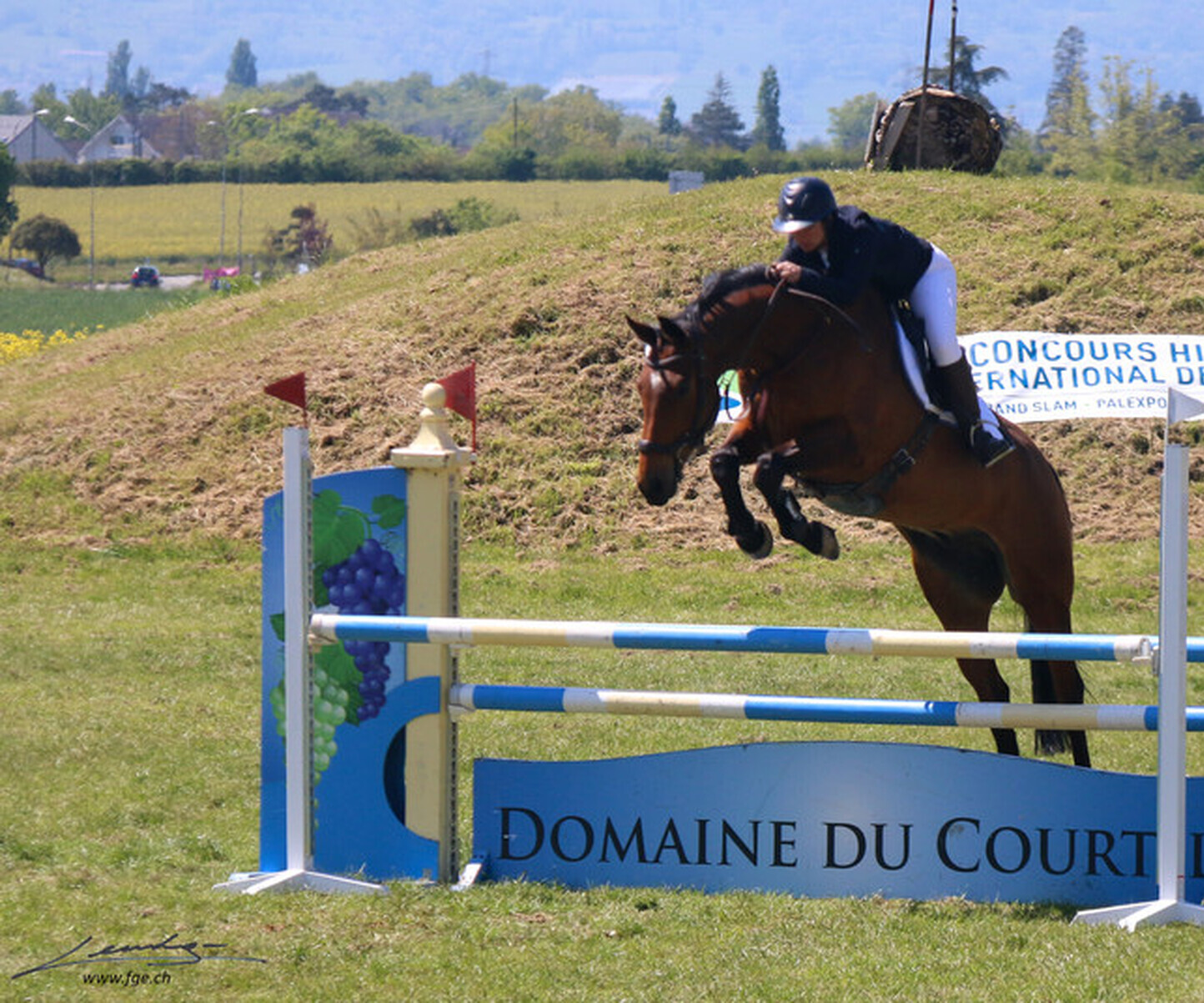 Description de l'image