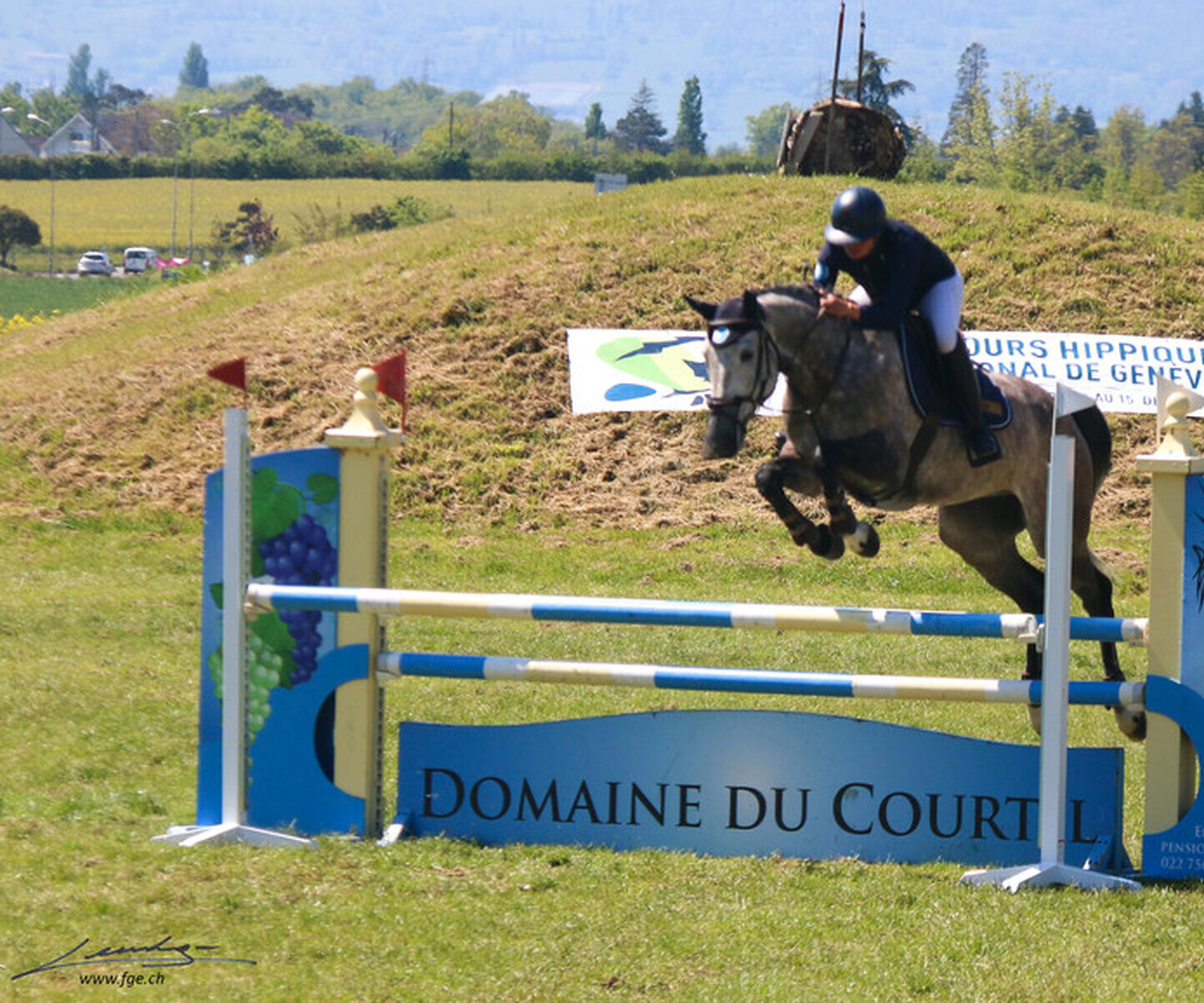 Description de l'image