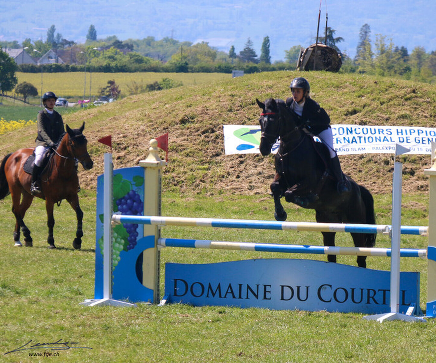 Description de l'image