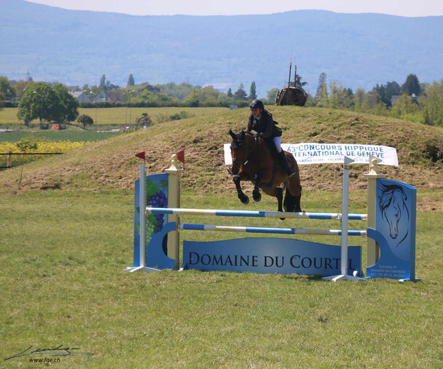 Description de l'image