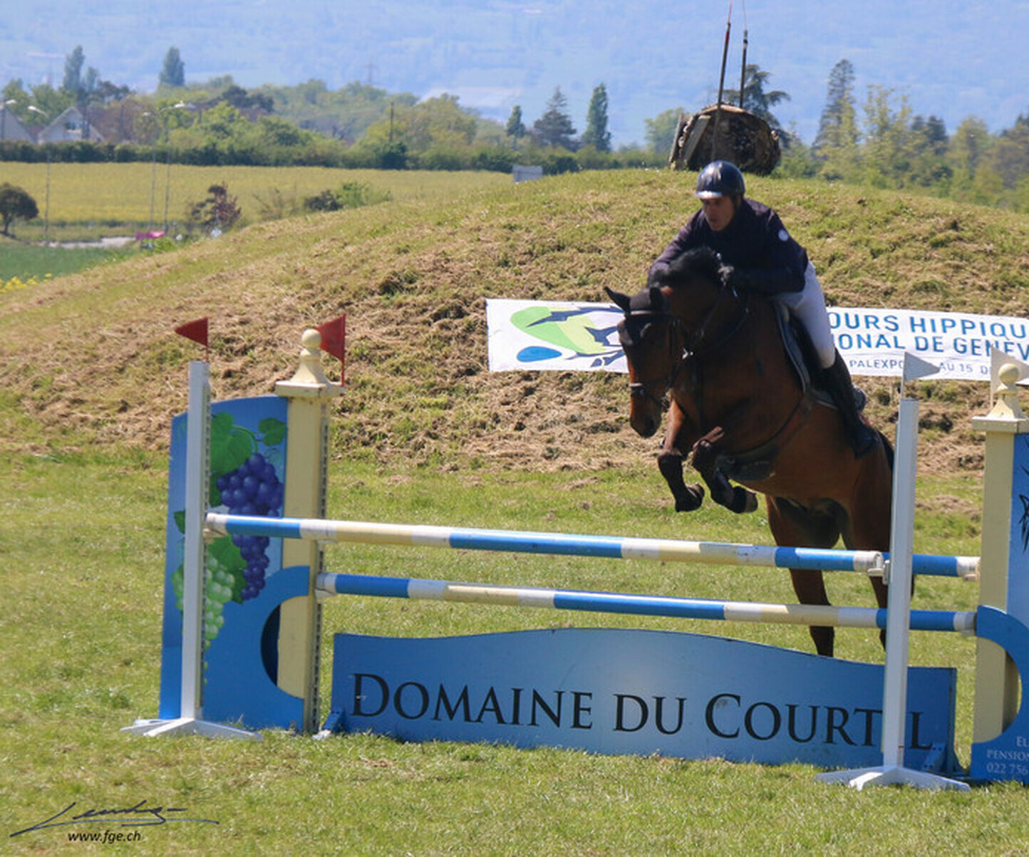 Description de l'image