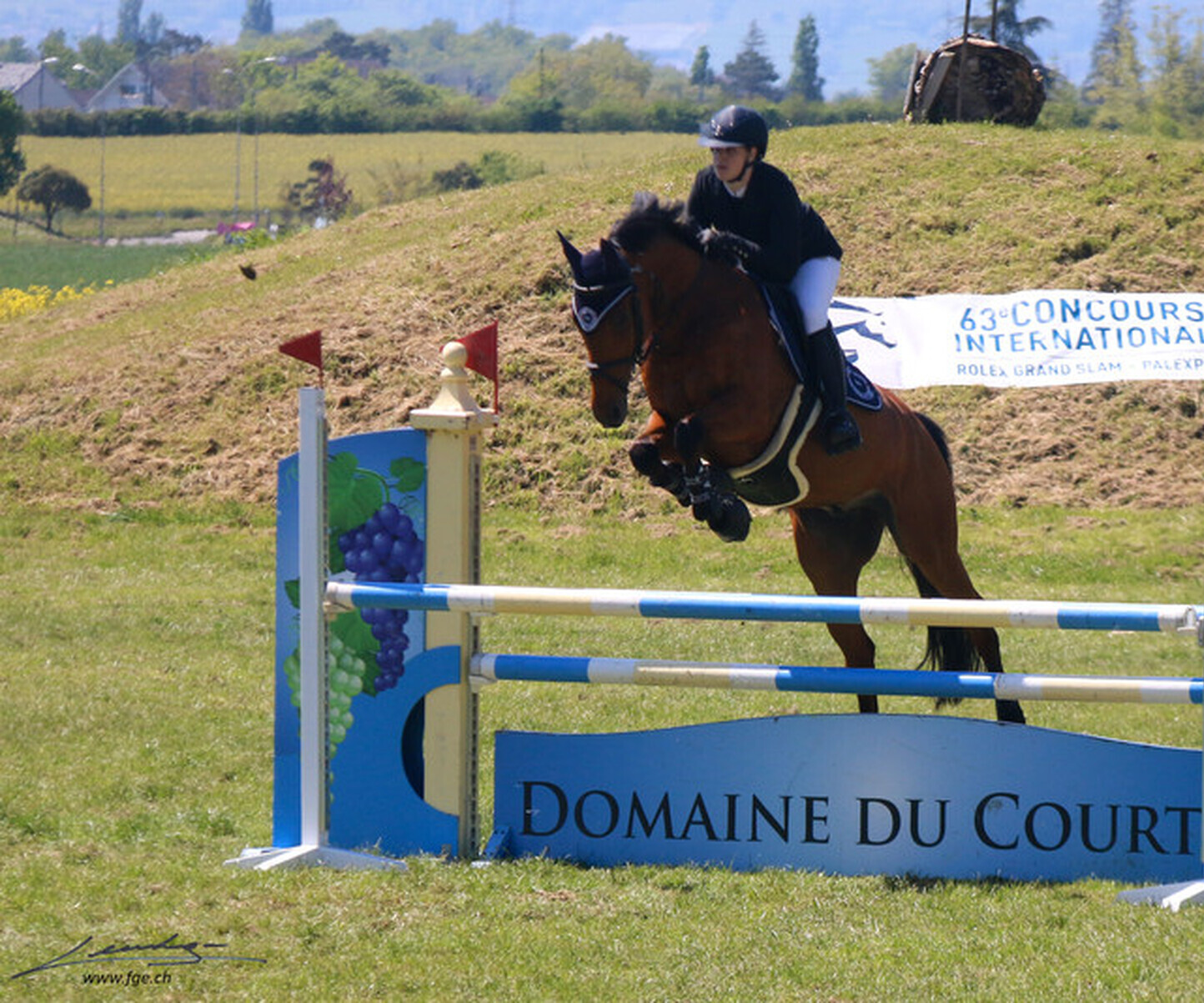 Description de l'image