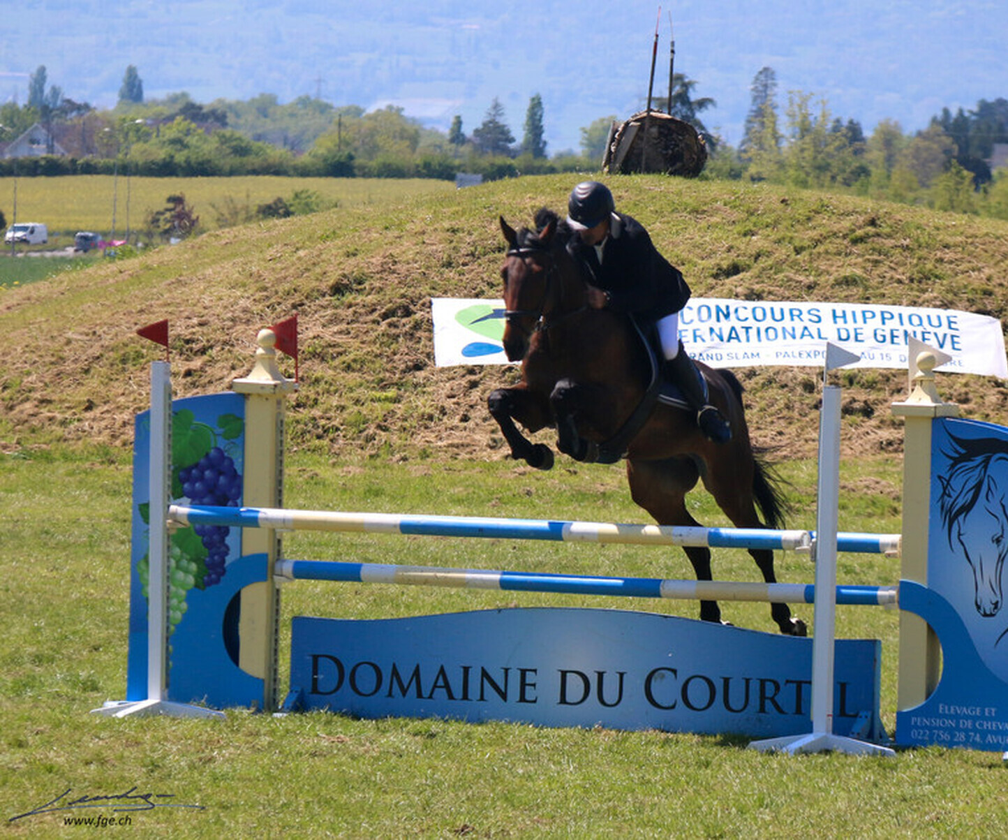 Description de l'image