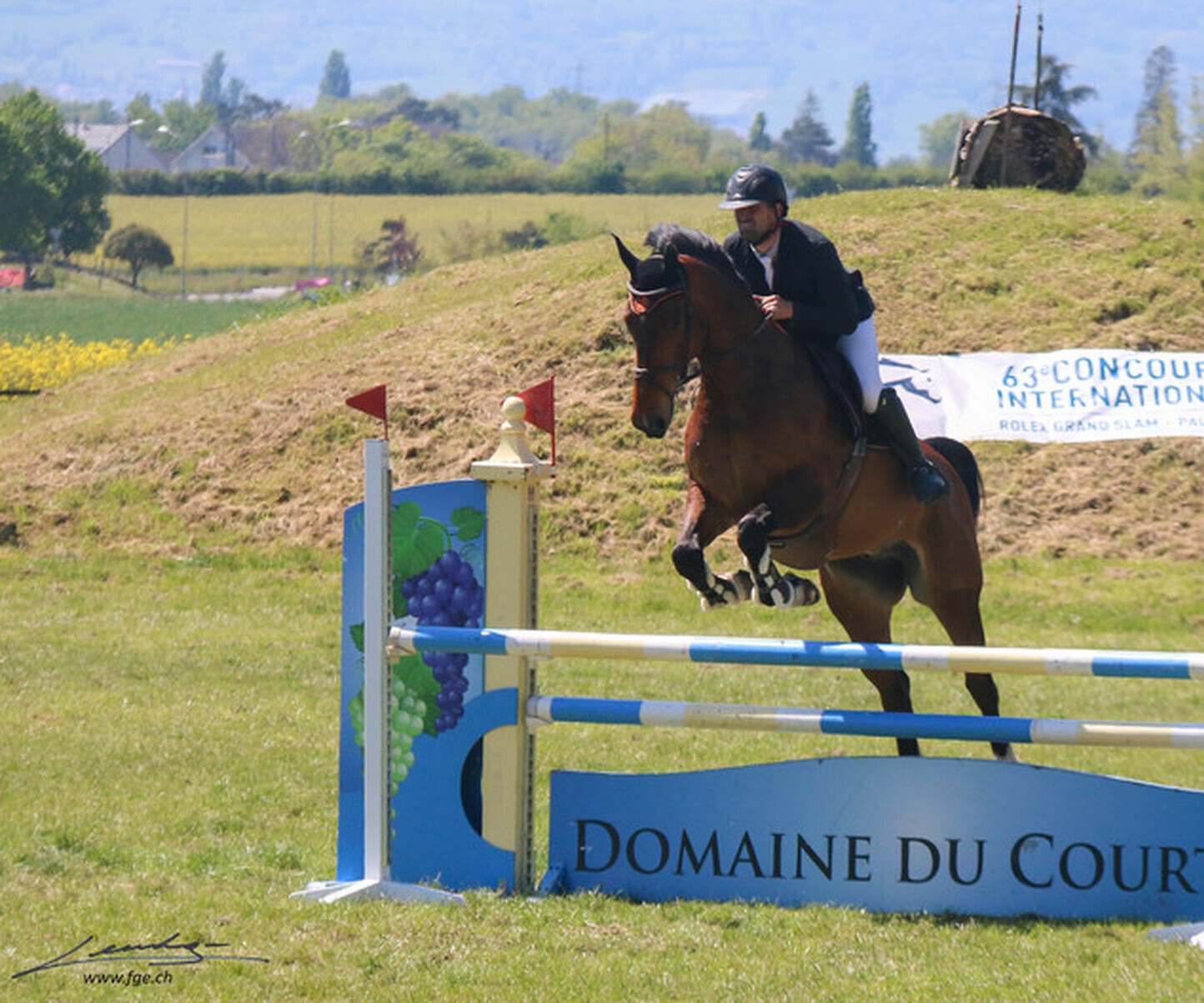 Description de l'image