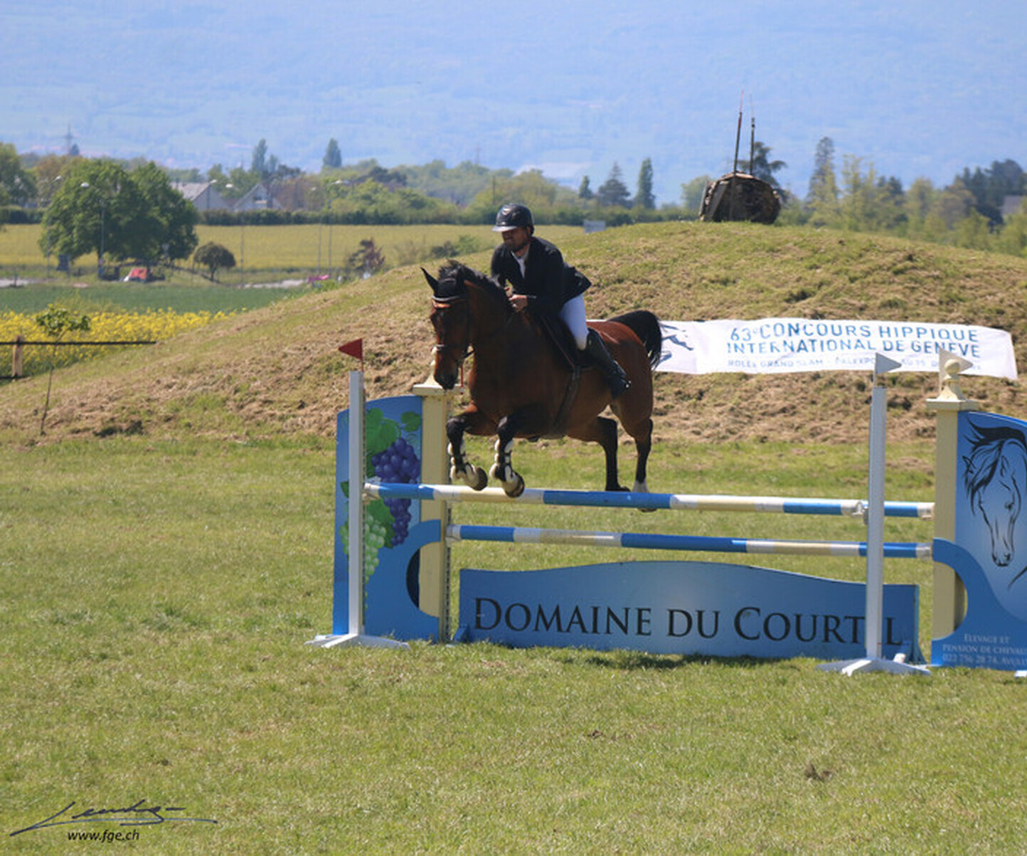 Description de l'image