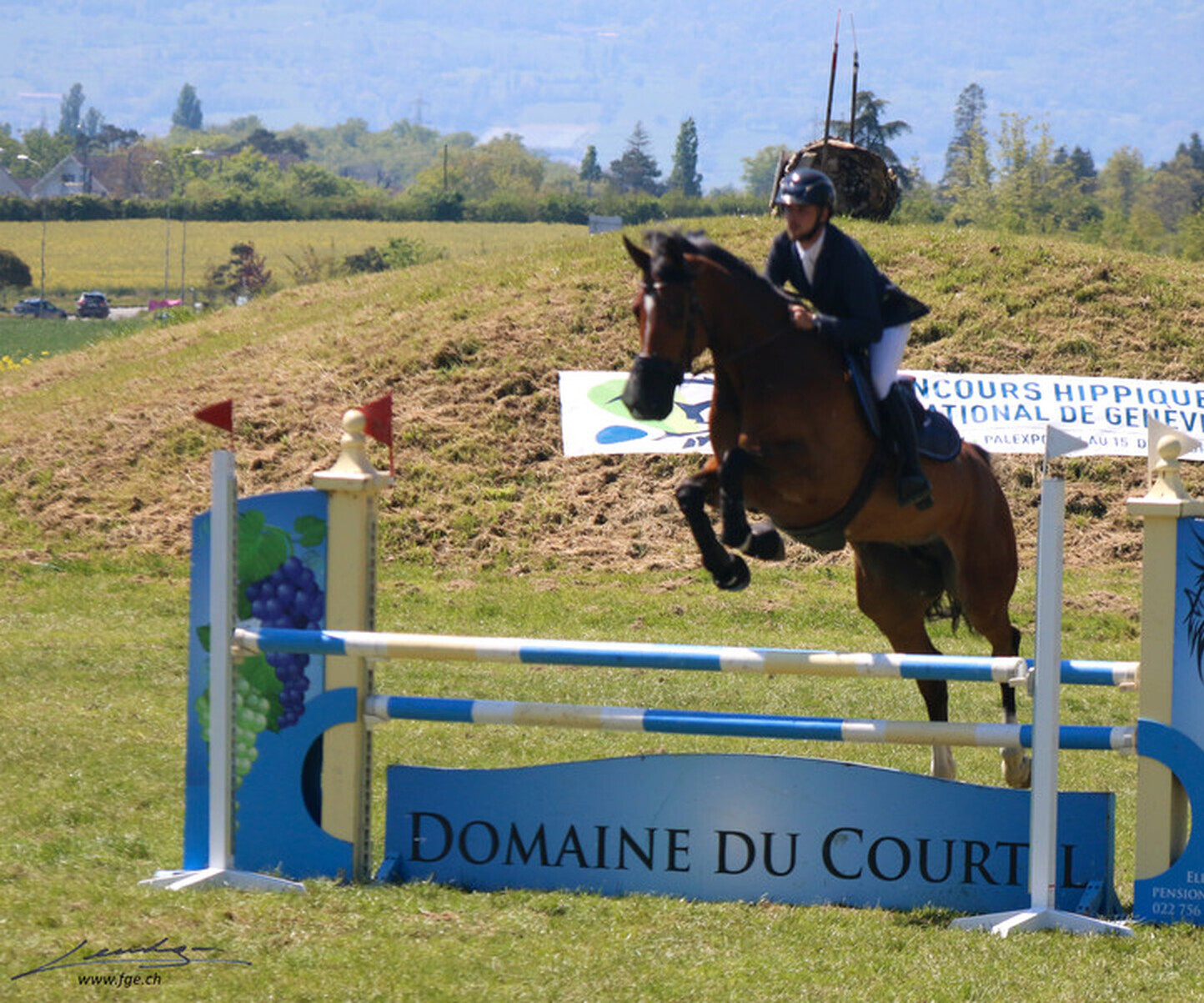 Description de l'image