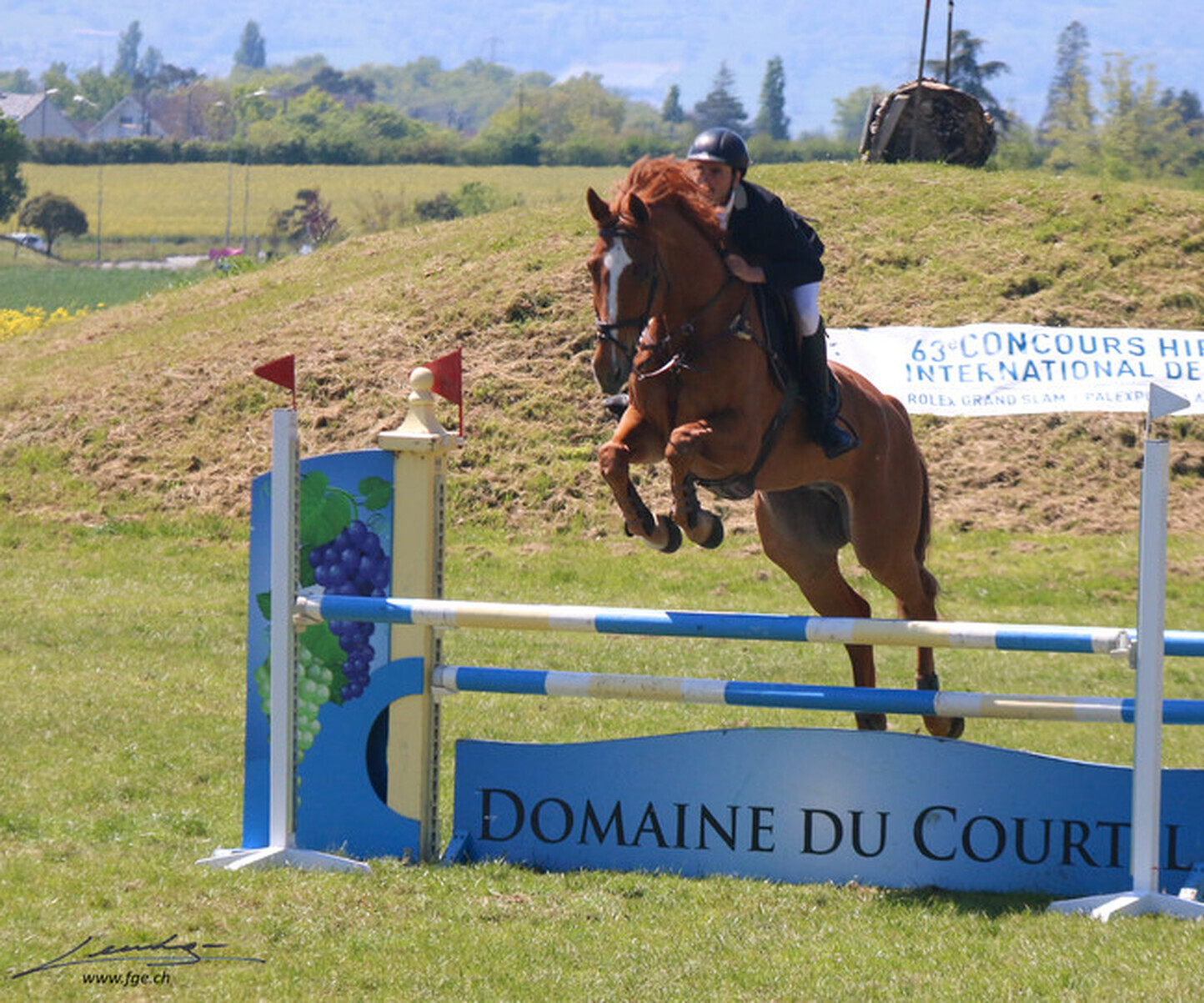 Description de l'image