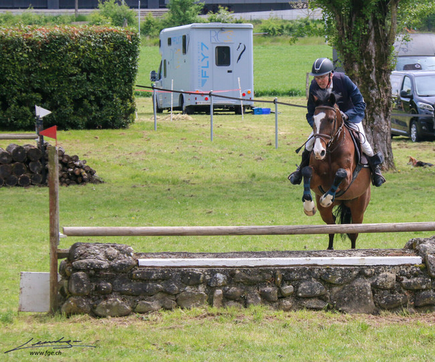 Description de l'image