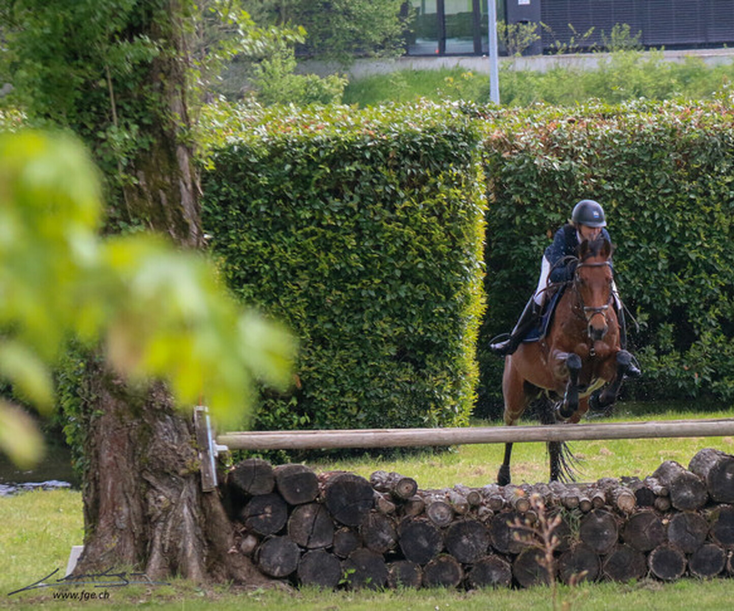 Description de l'image