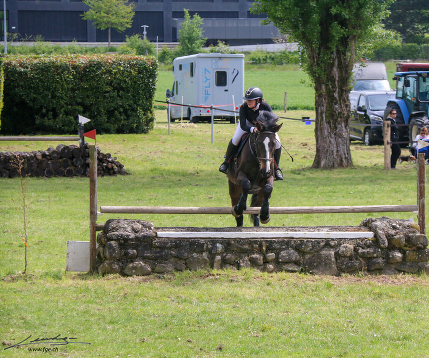 Description de l'image