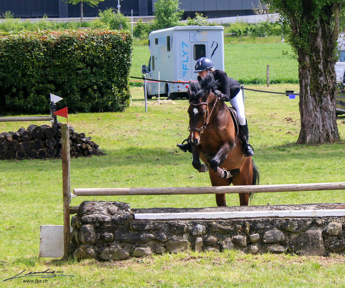 Description de l'image