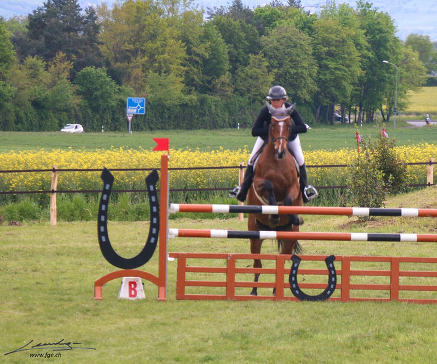 Description de l'image