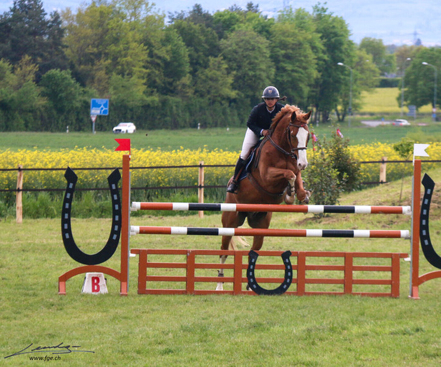 Description de l'image