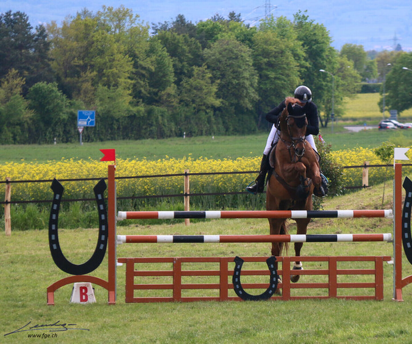 Description de l'image