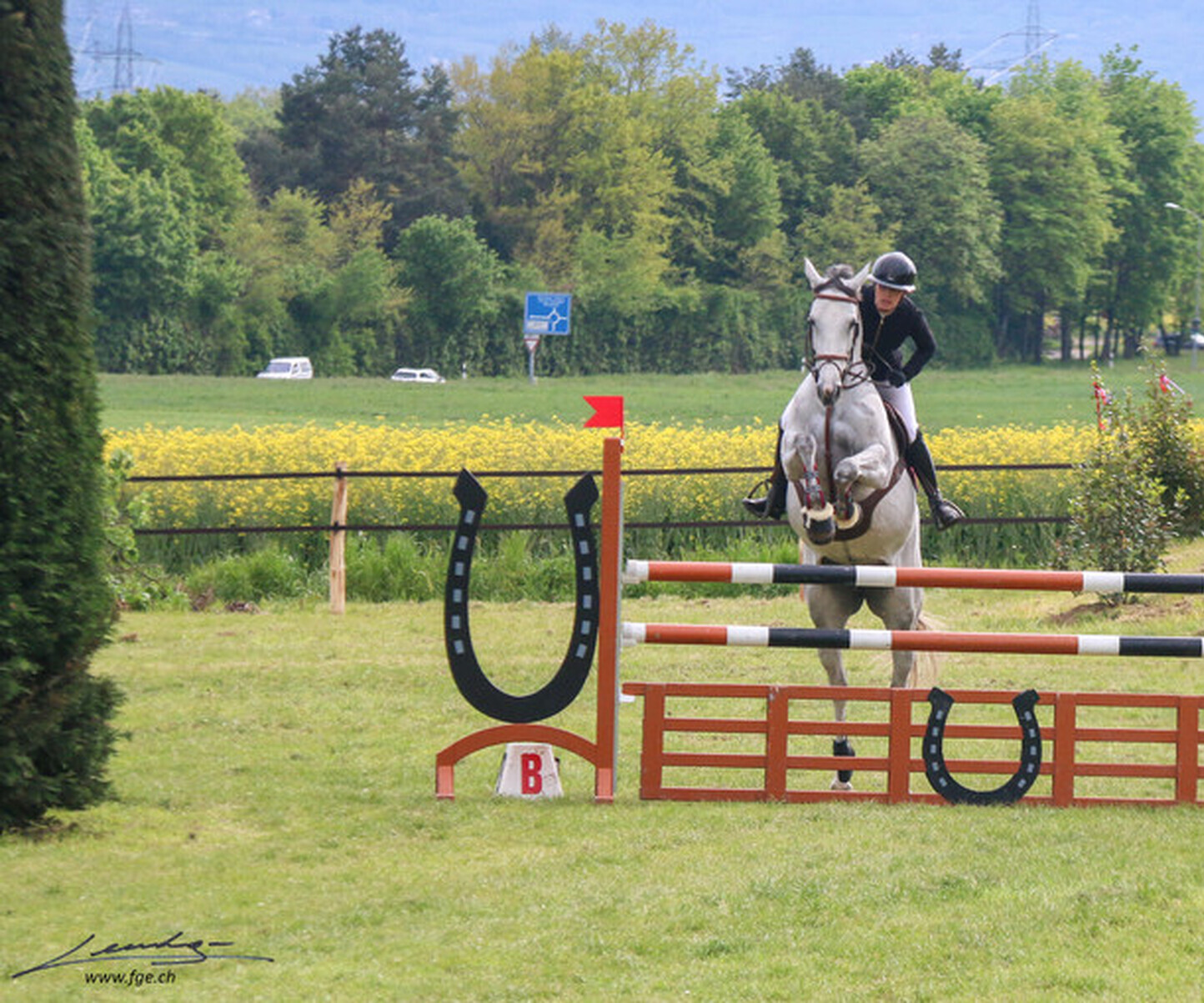 Description de l'image