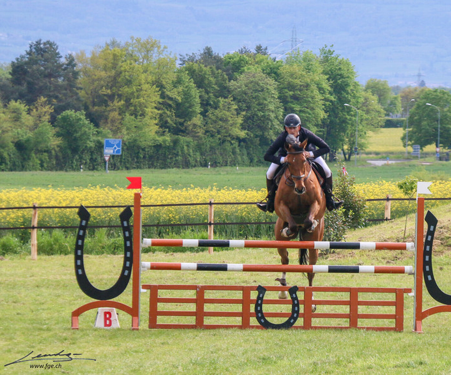 Description de l'image