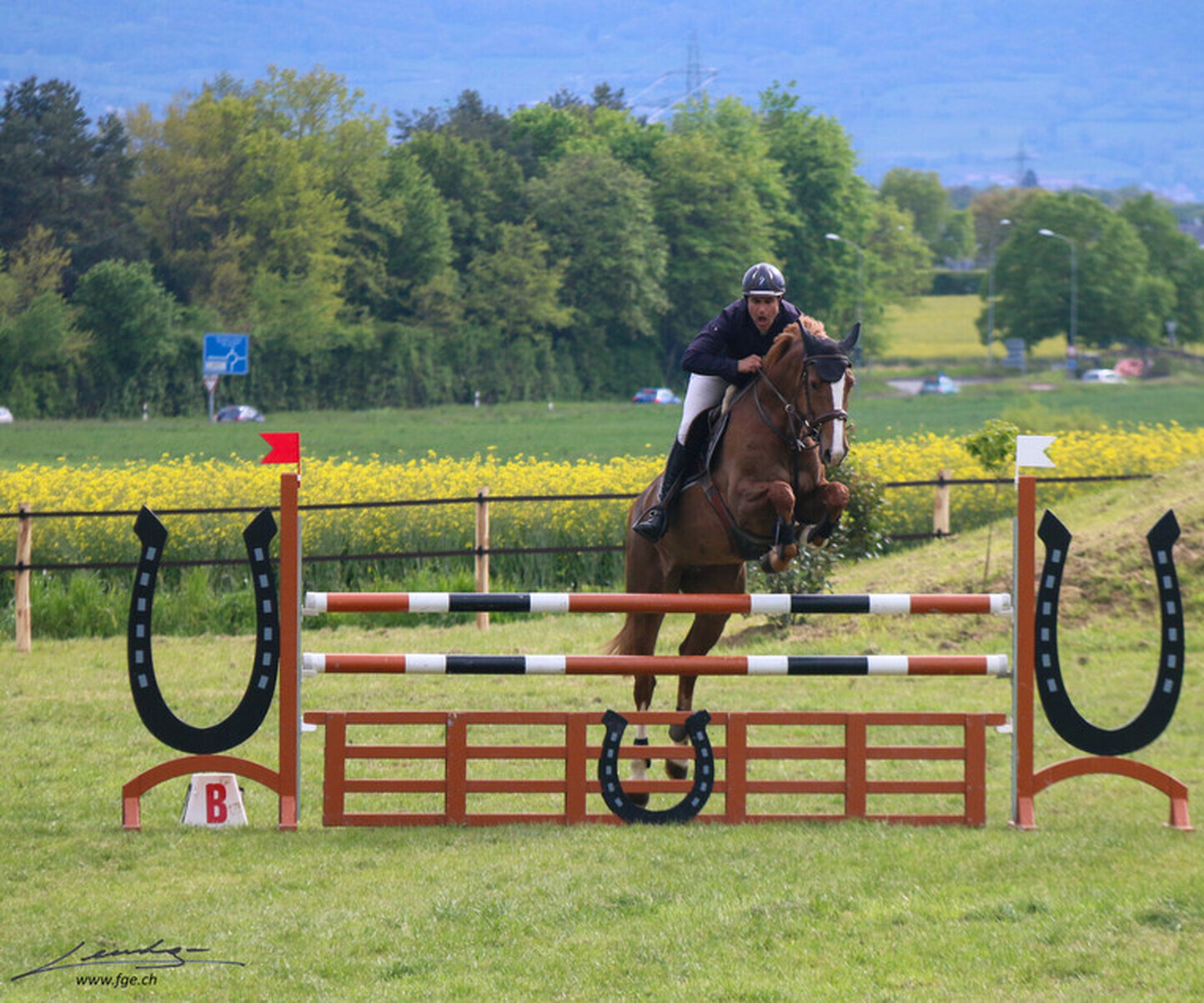 Description de l'image