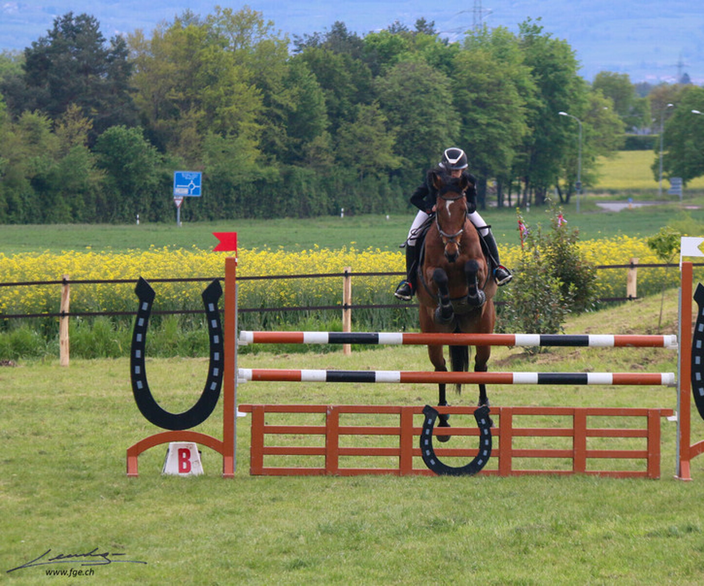 Description de l'image