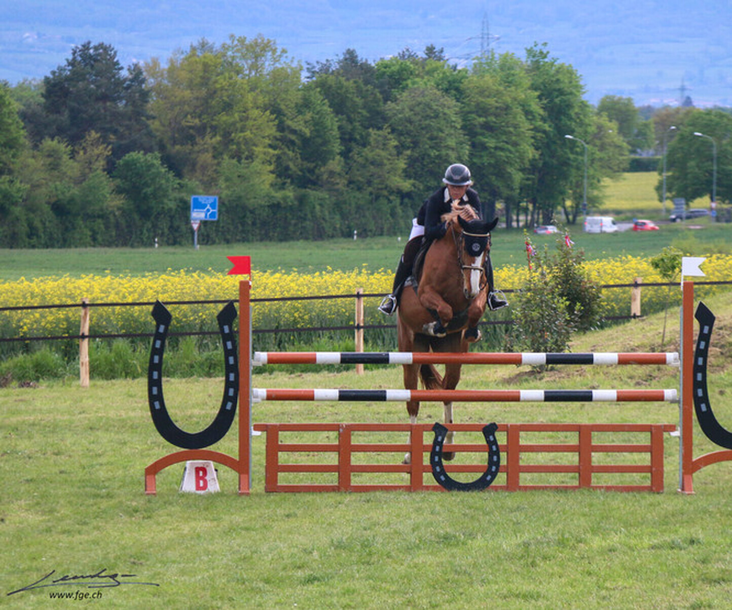 Description de l'image