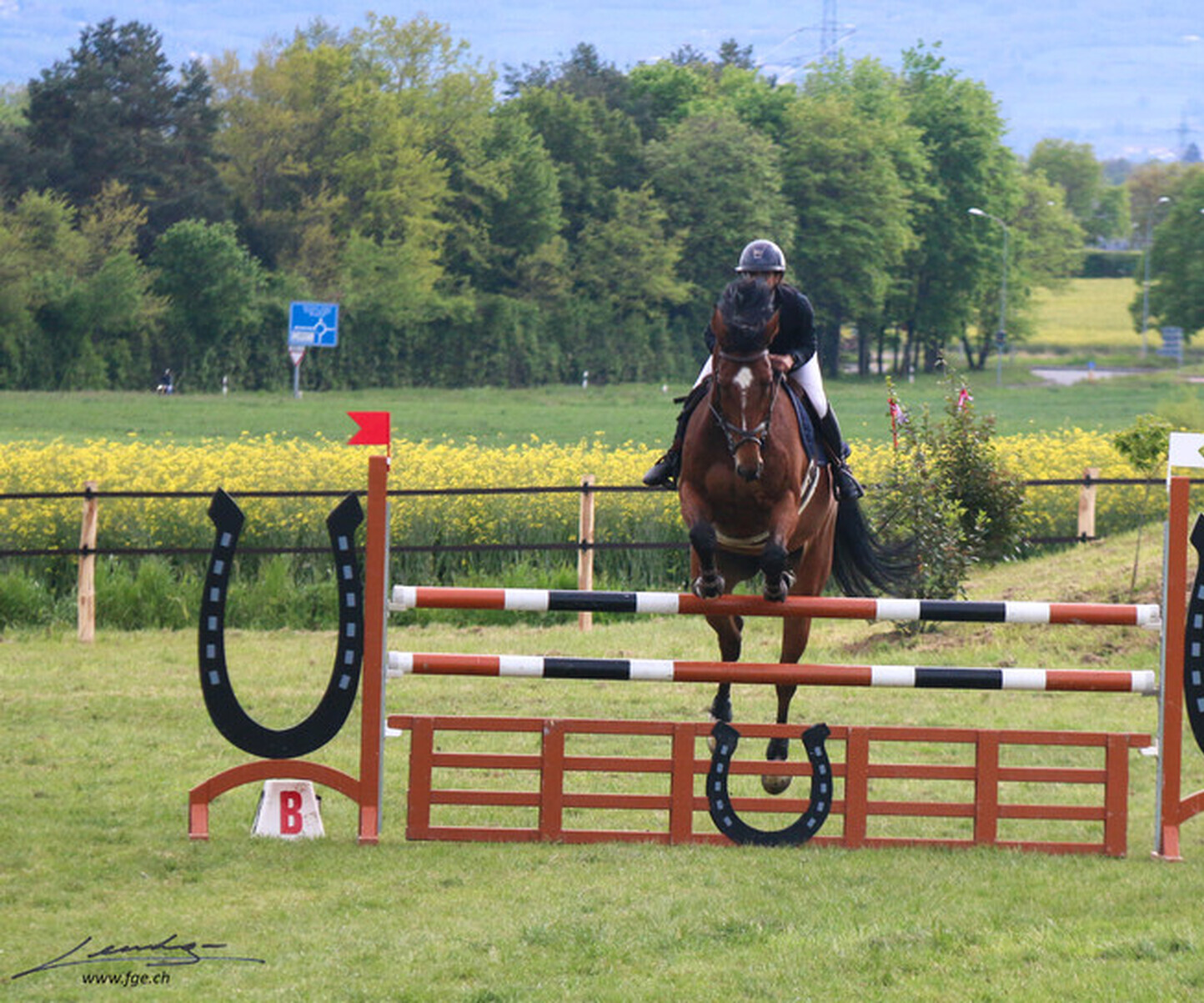 Description de l'image