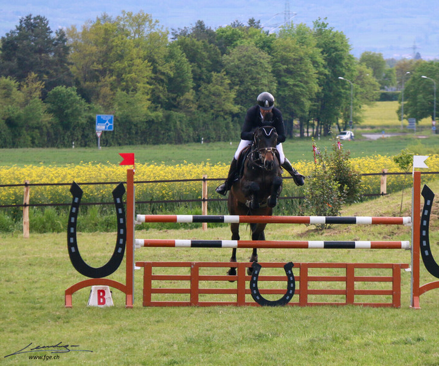 Description de l'image