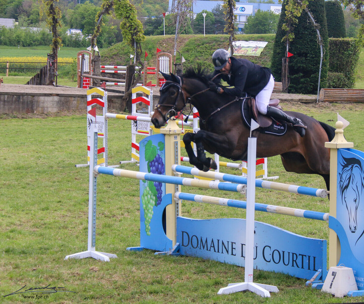 Description de l'image