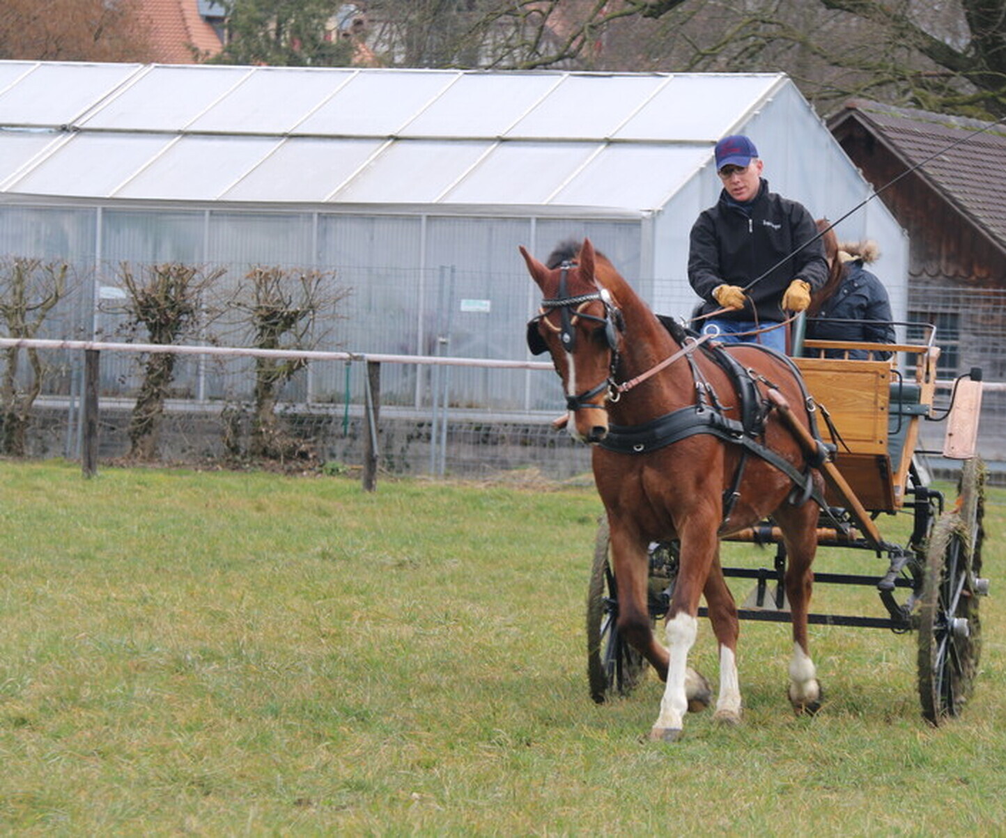 Description de l'image