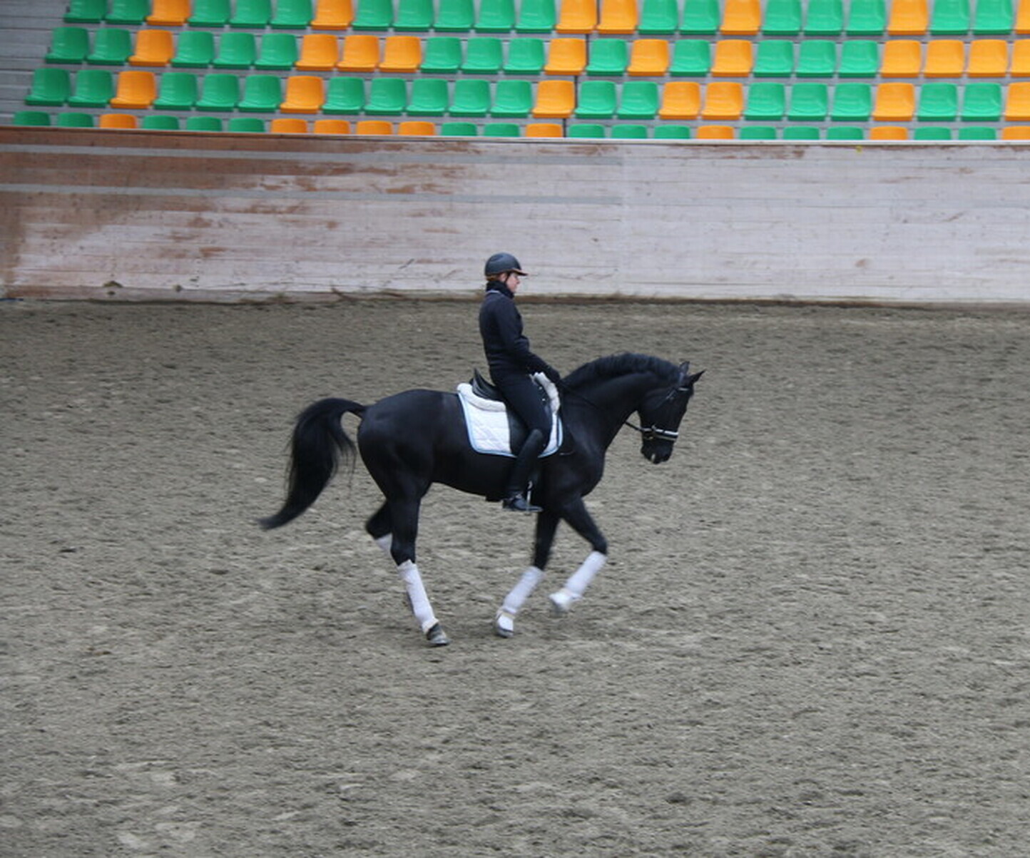 Description de l'image