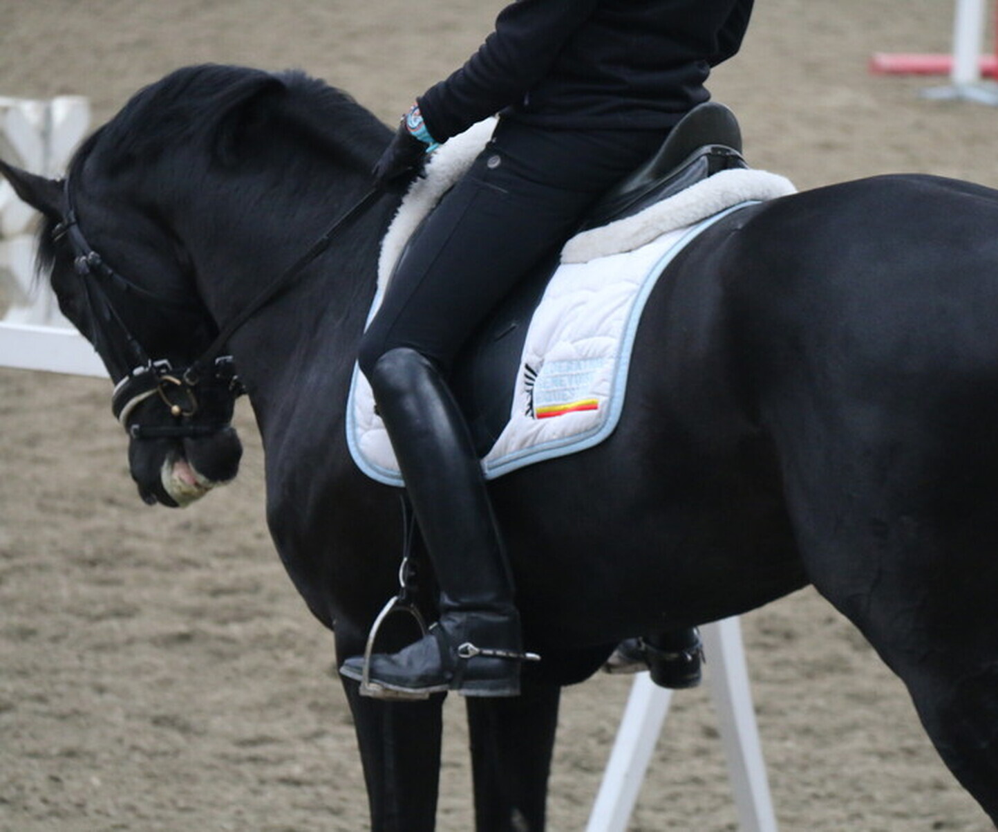 Description de l'image