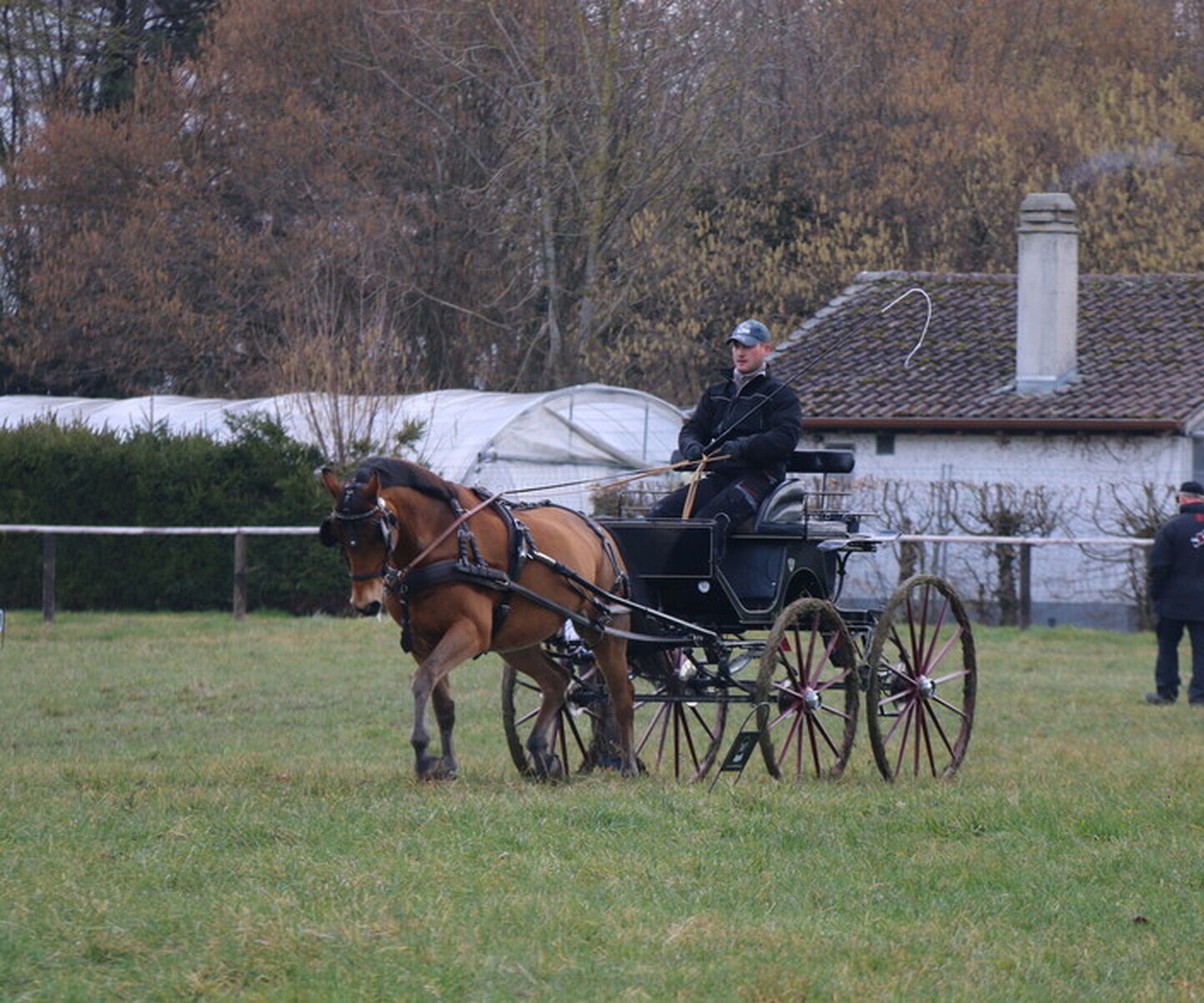 Description de l'image