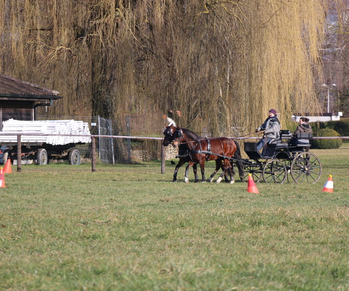 Description de l'image