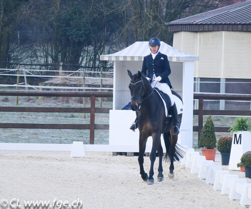 Dressage à Evordes 2018