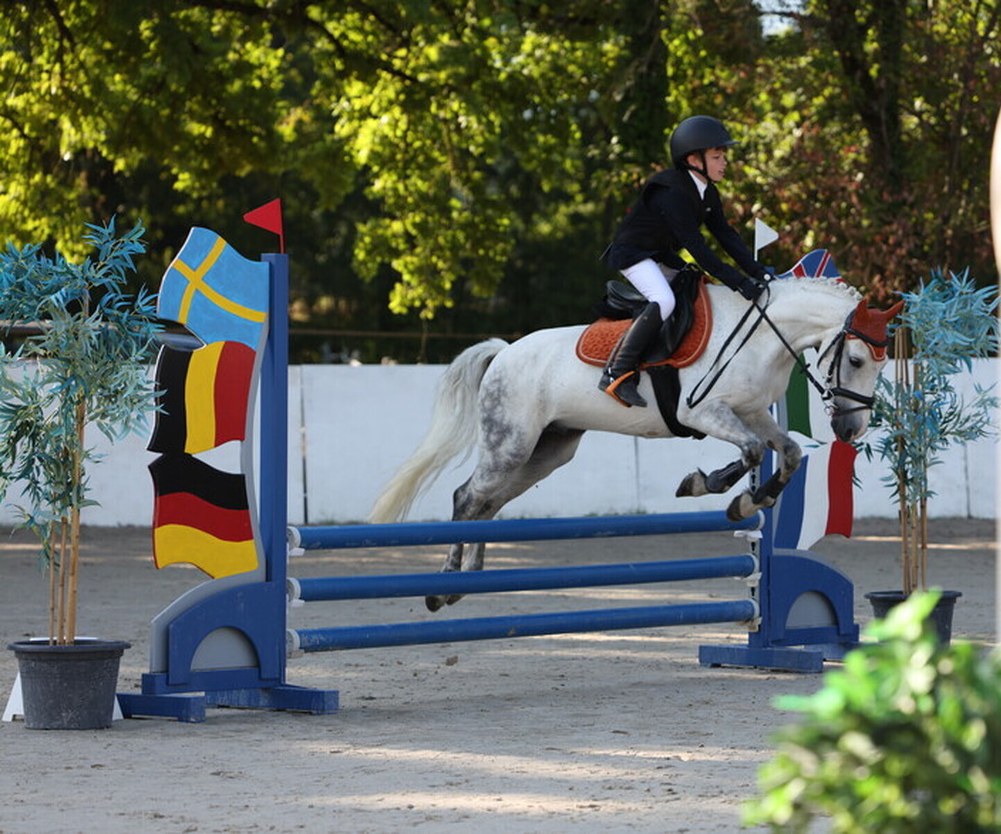 Description de l'image