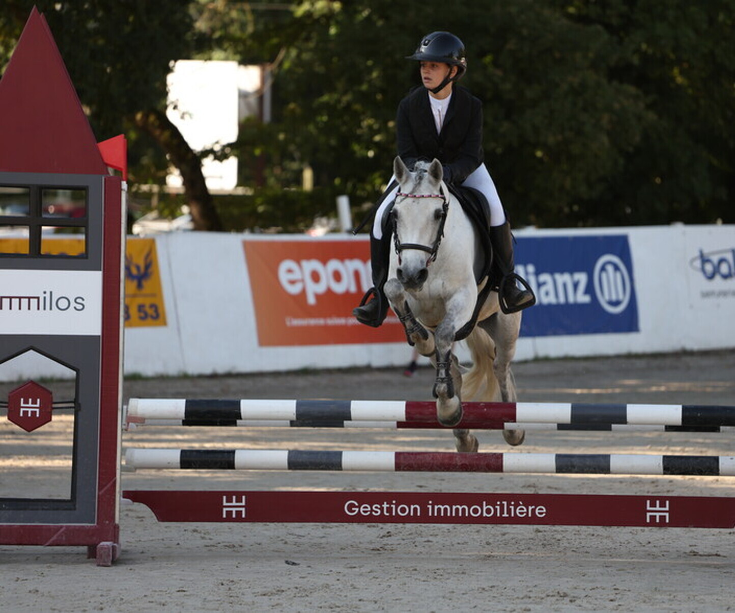 Description de l'image