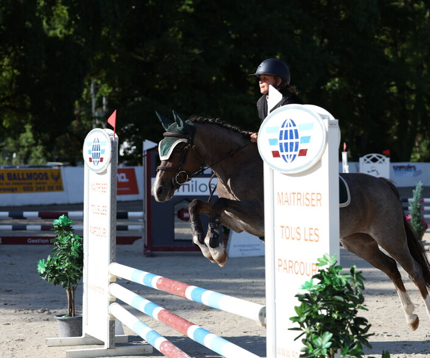 Description de l'image