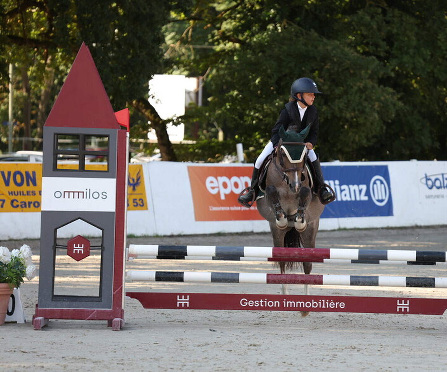 Description de l'image