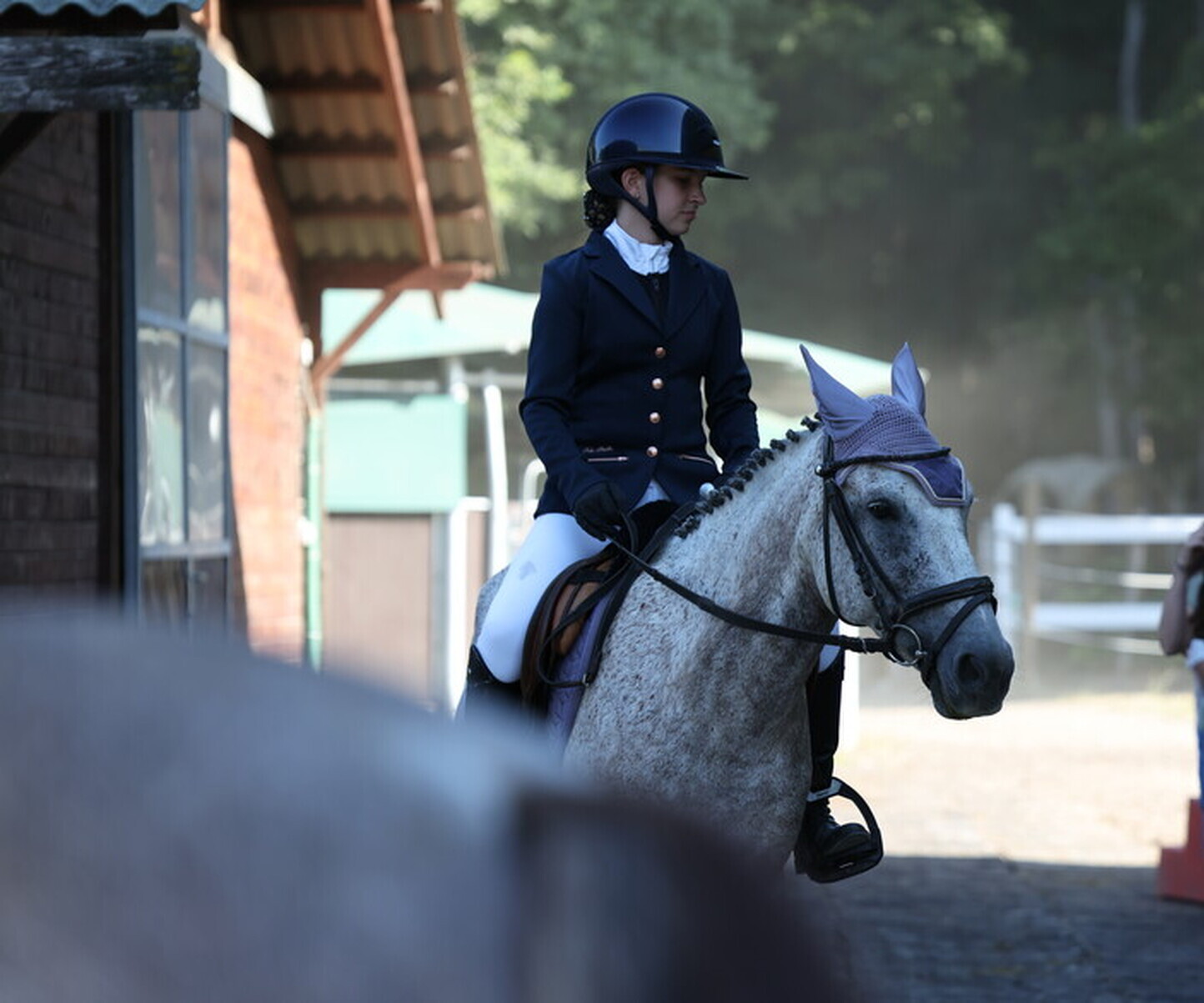 Description de l'image